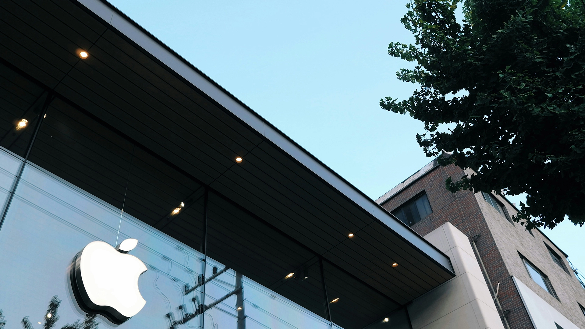 Apple investe 99 milioni di dollari nell’energia pulita della Cina per raggiungere una catena di fornitura 100% rinnovabile entro il 2030