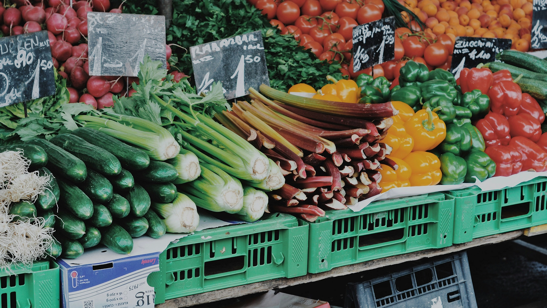 La Sperimentazione di Strumento IA Punta al Spreco Alimentare nel Regno Unito, Milioni di Pasti Potrebbero Essere Salvati