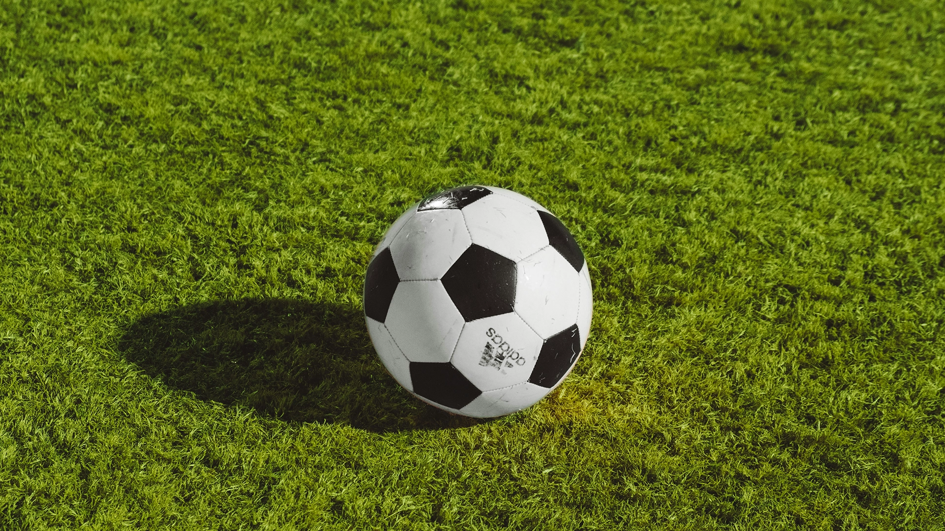 I Robot Umanoidi Giocano un Torneo di Calcio in Cina